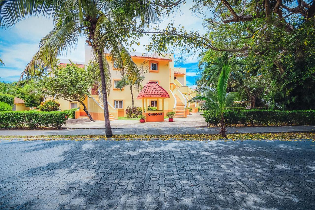 Rana Loca - Only 5 Min Walk To - At, Playacar, Chac Ha Playa del Carmen